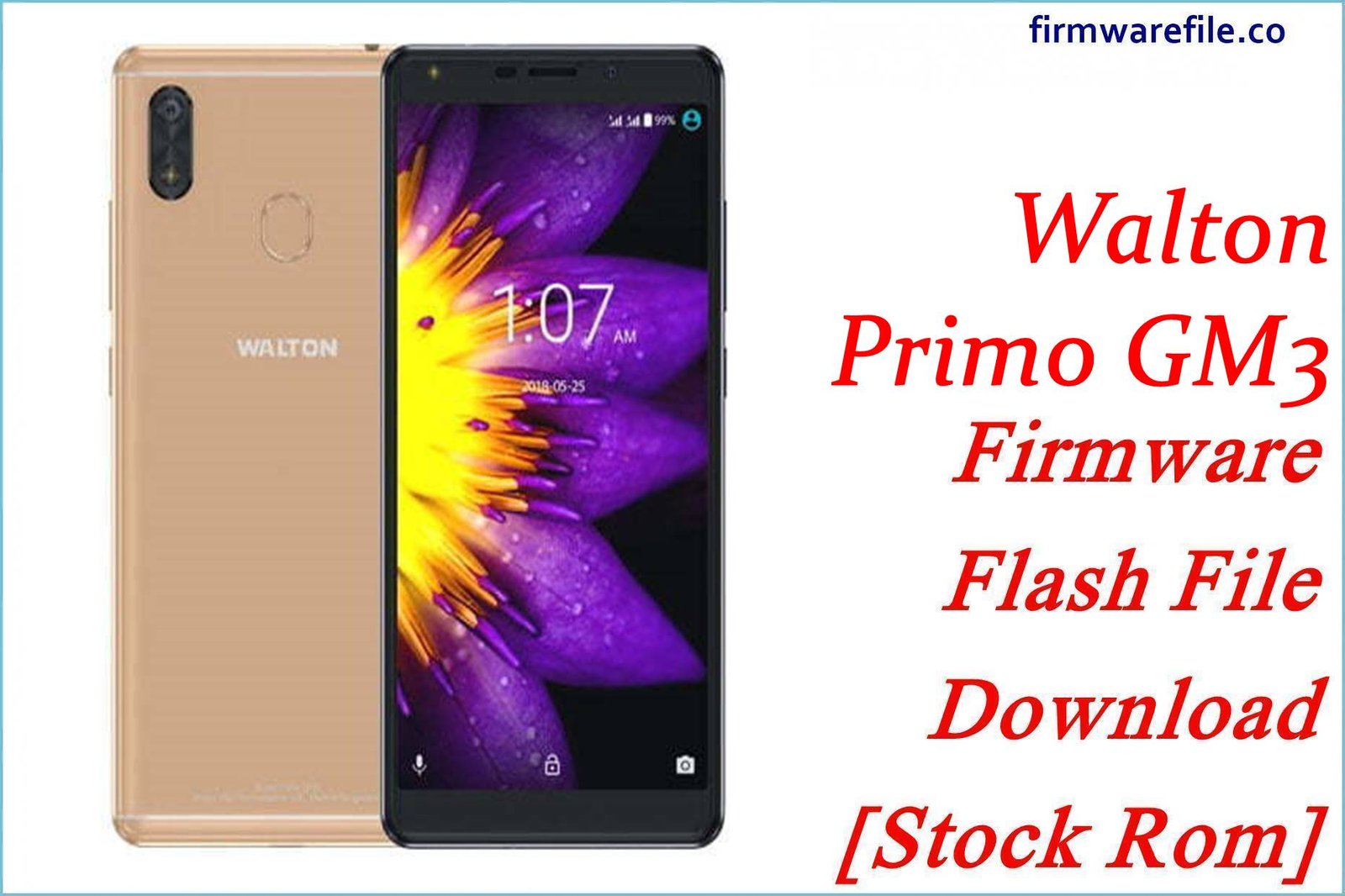Walton Primo GM3